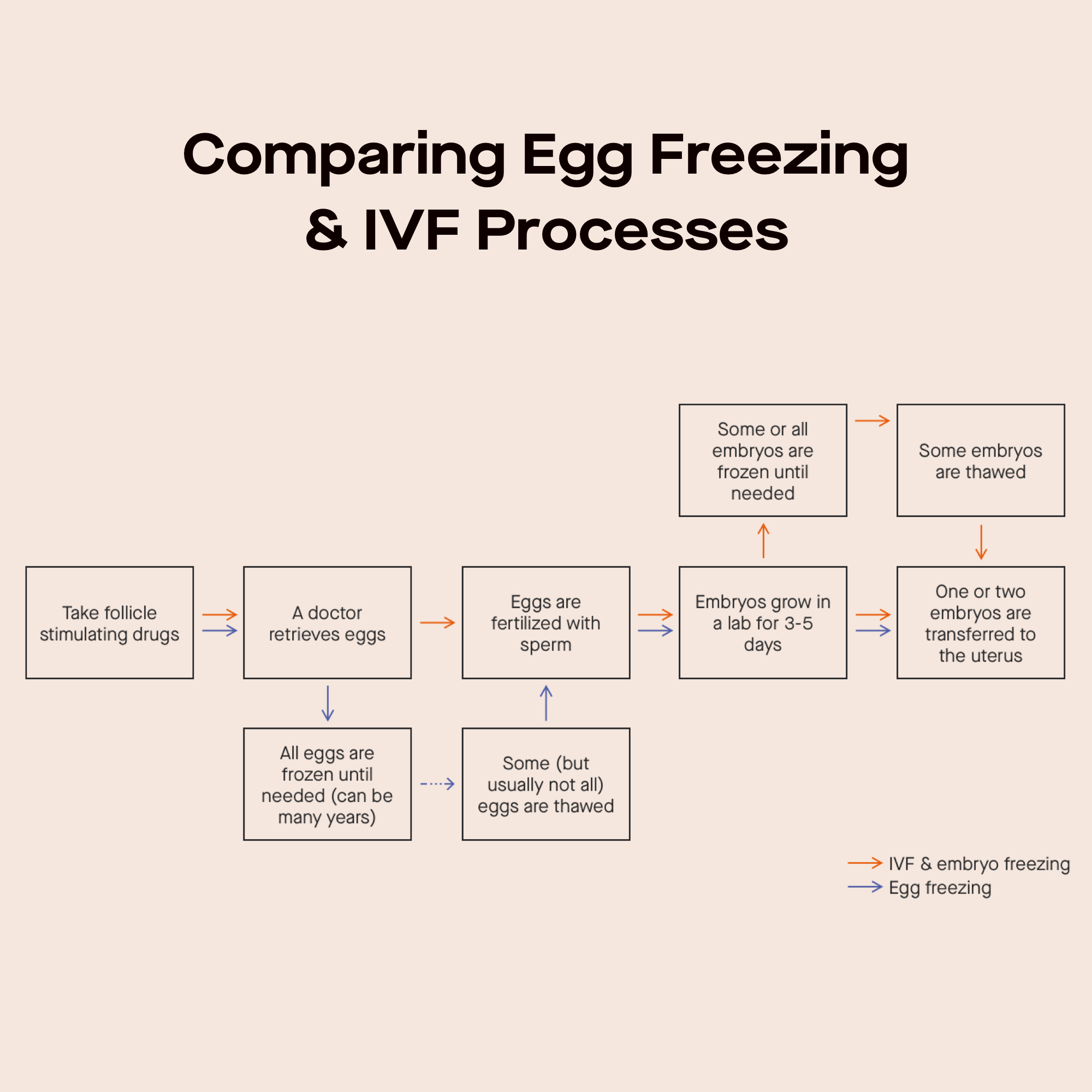 Egg freezing costs, process, and ovarian reserve testing